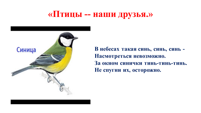 Птицы -- наши друзья